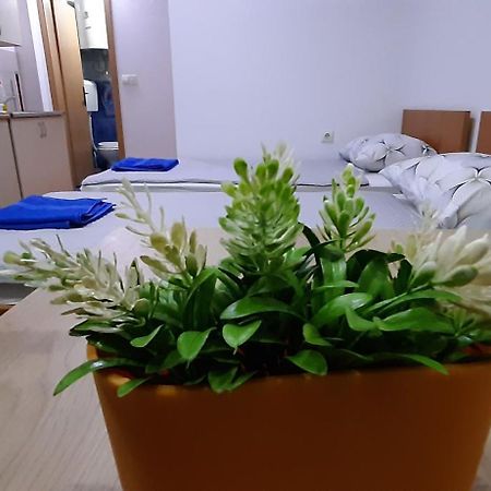 Apartment Riki 3 Near Bus Station Ohrid Ngoại thất bức ảnh