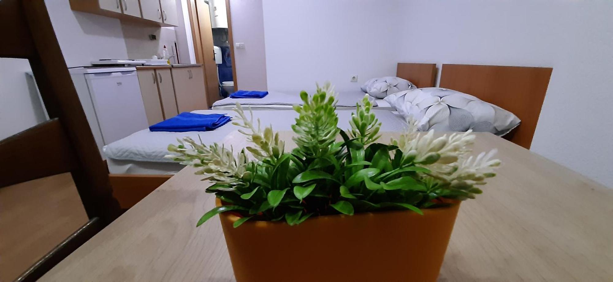 Apartment Riki 3 Near Bus Station Ohrid Ngoại thất bức ảnh